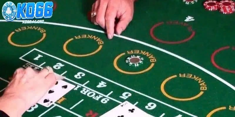 Giới thiệu về cược gấp thếp