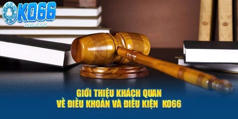 Khái quát cơ bản về các điều khoản sử dụng