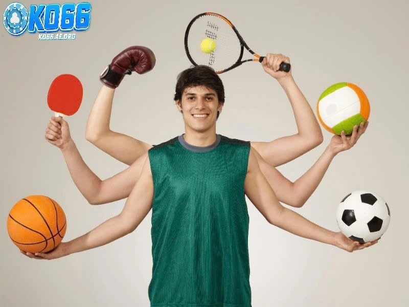 Các môn thể thao được người chơi ưa chuộng nhất